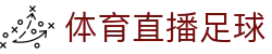 PP体育直播入口|足球篮球赛程查询与比分数据速览